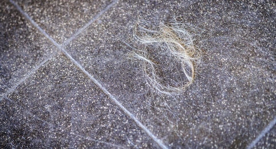    Juliane Sonntag/Photothek Media Lab / www.globallookpress.com