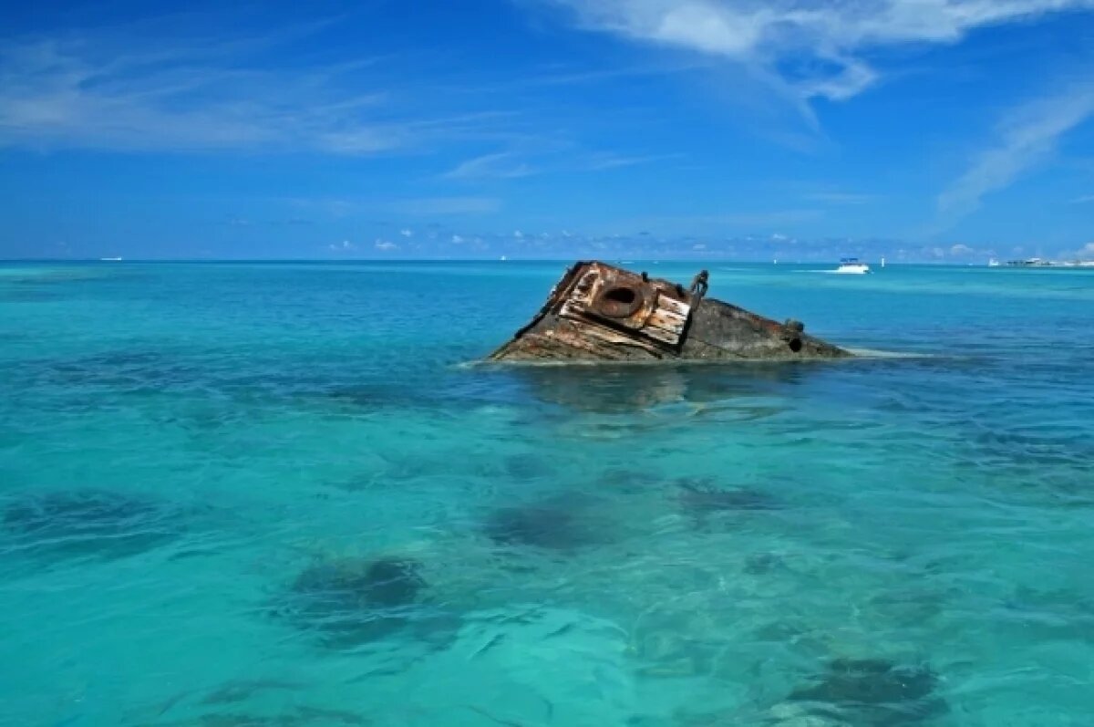    Учёный Крушельницкий заявил о разгадке тайны Бермудского треугольника