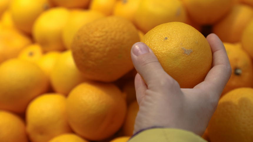    Фото: www.globallookpress.com/ Bulkin Sergey; 5-tv.ru