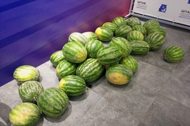    Фото: АиФ/ Екатерина Щукарь