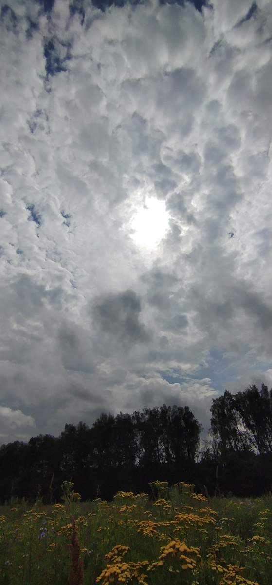 Личное фото