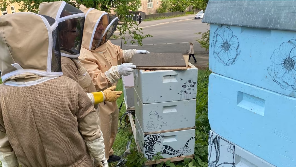 Et agressivt bifolk skal fjernes i natt. Bildet er tatt ved en tidligere anledning. Foto: Torshov birøkterlag