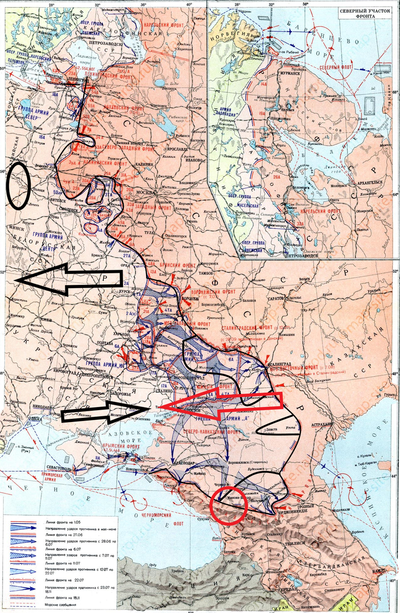 (Фото взято из открытых источников).