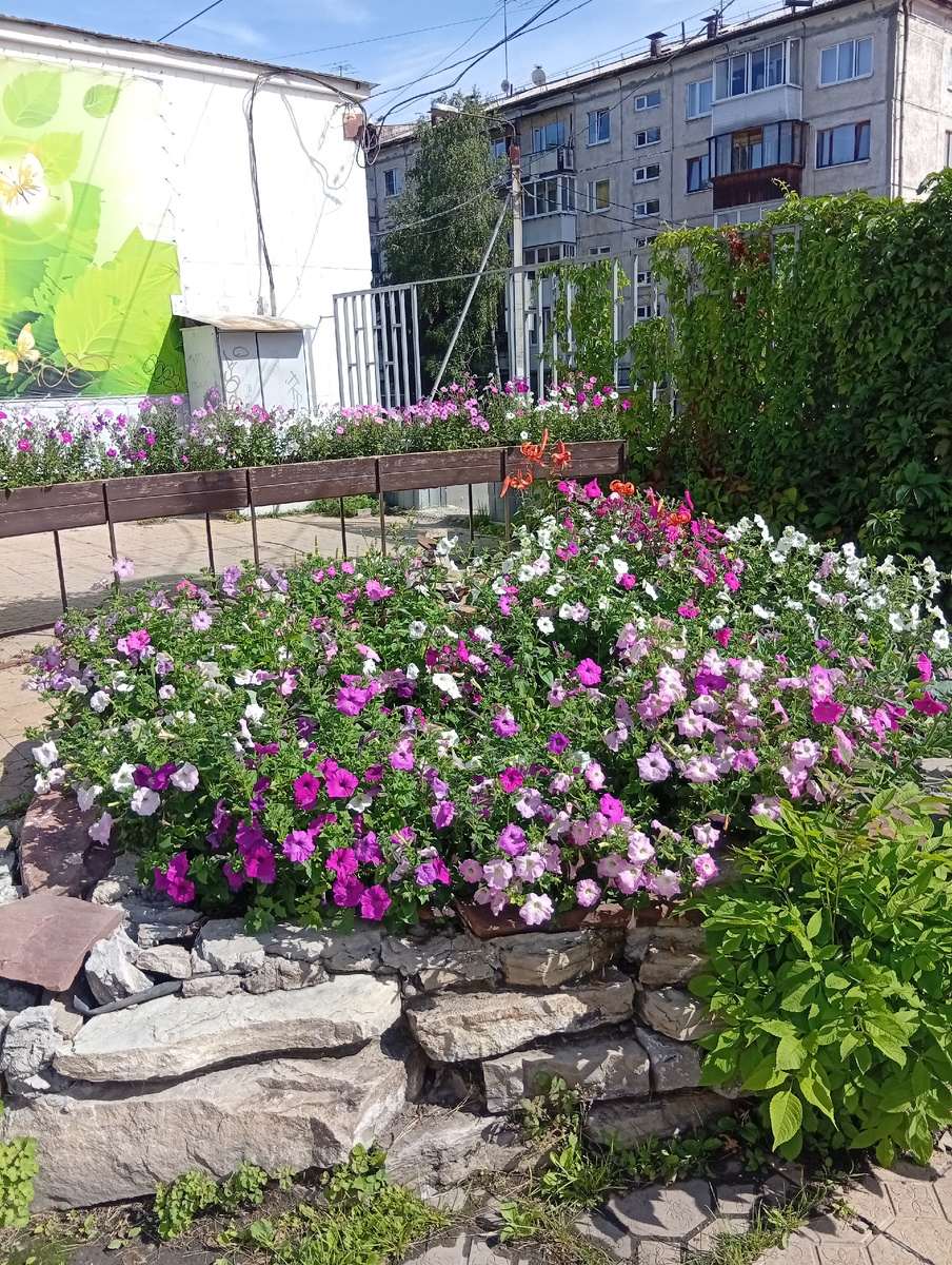 Фото автора статьи. Где-то рядом мой дом.