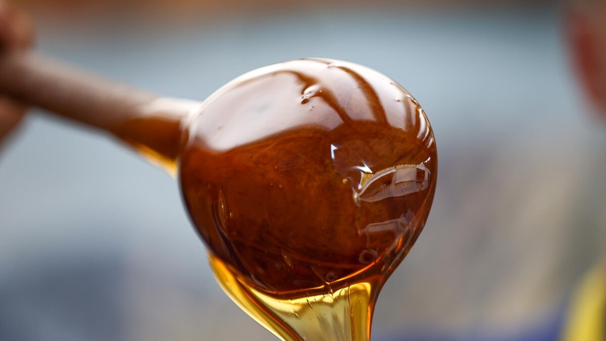    Фото: Shatokhina Natalia/news.ru/globallookpress.com