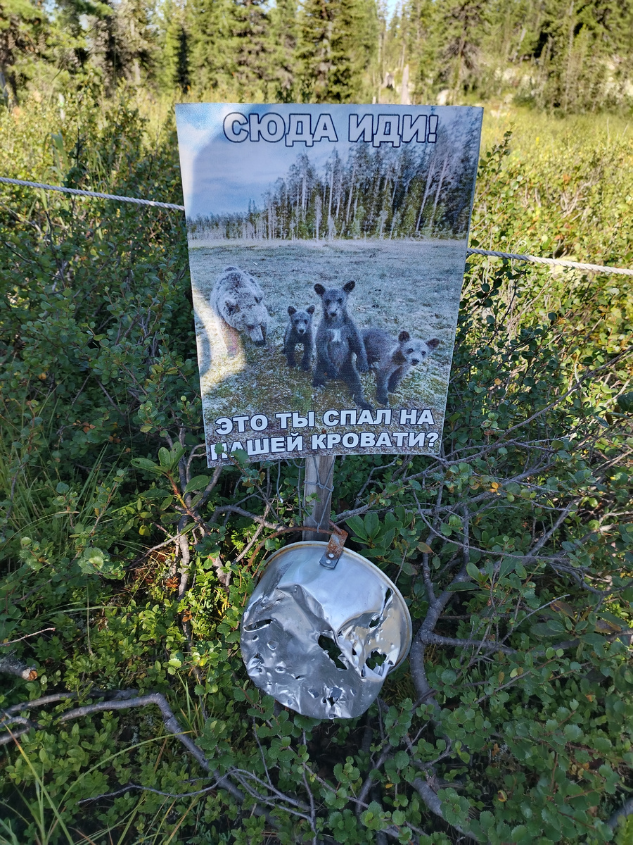 Ничего необычного, просто мишка разгрыз чей-то не убранный котелок) 