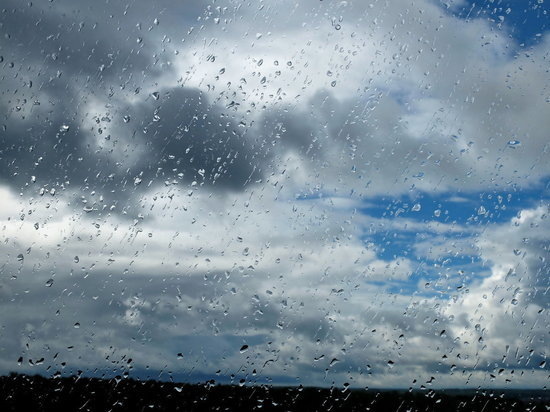  забыла дома зонт и бегом припустила на остановку     