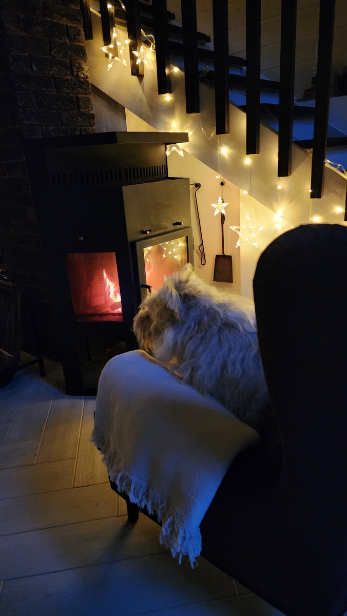 В основном, побеждает Медведь)