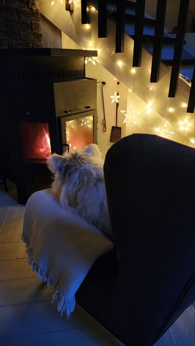 Всё хорошо в камине, но вот кресло - лишь одно. Листайте --->