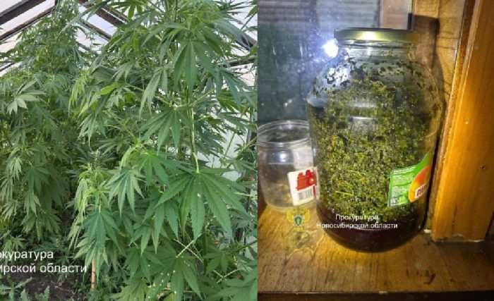 Фото Прокуратура Новосибирской области