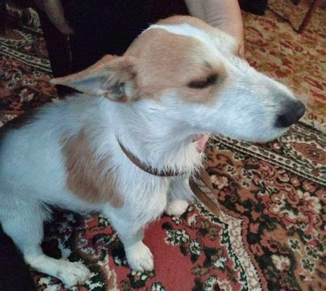 сриншот автора