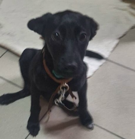 скриншоты автора