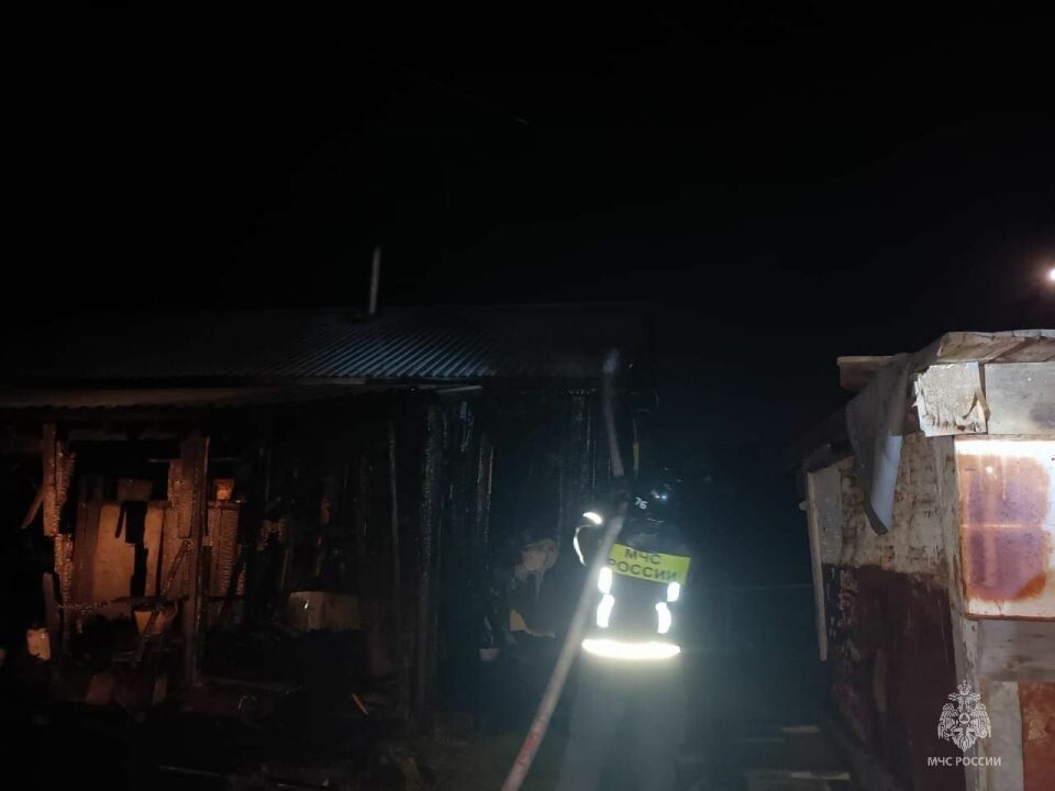    Пожар в Третьяковском районе. Источник: ГУ МЧС по Алтайскому краю