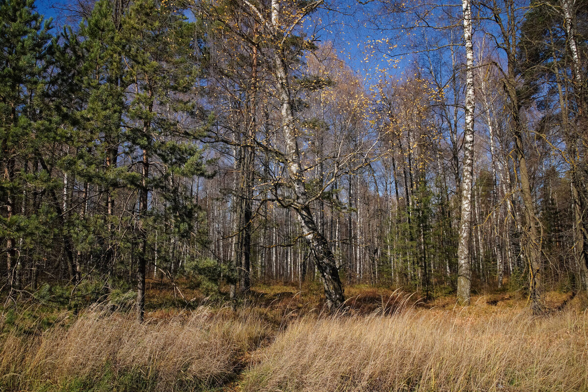 Фото: © Салават Камалетдинов / «Татар-информ»