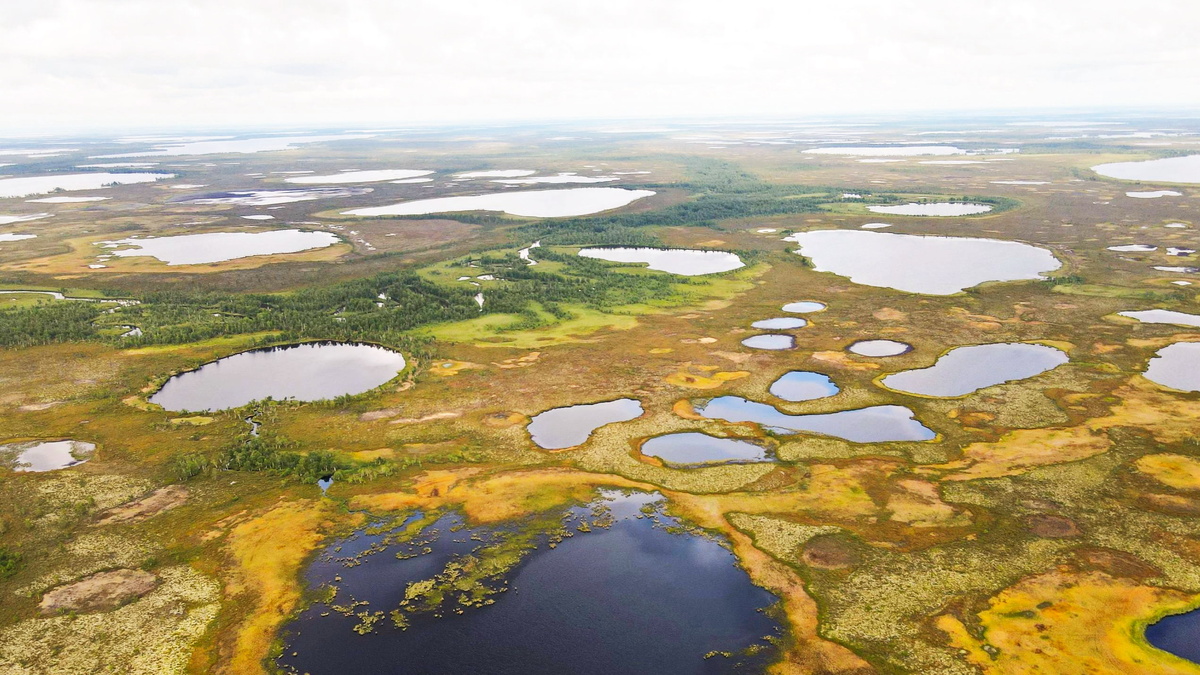    В «Нумто» будут изучать динамику озёр