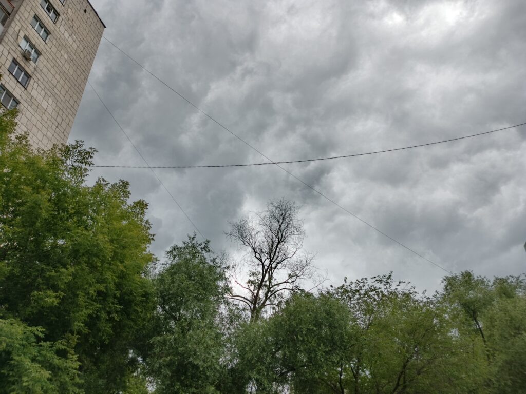    Фото: v-kurse.ru Ольга Гилёва