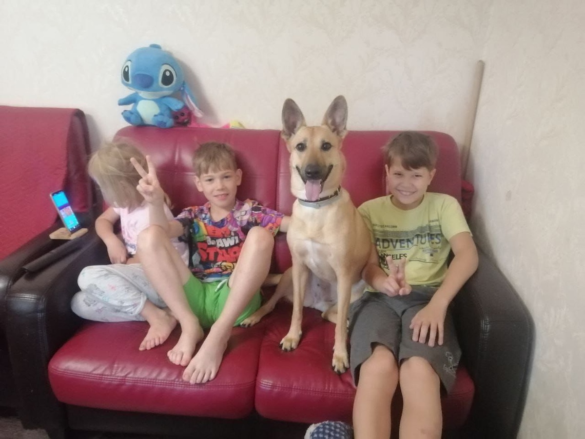 Бэтти и её новая семья