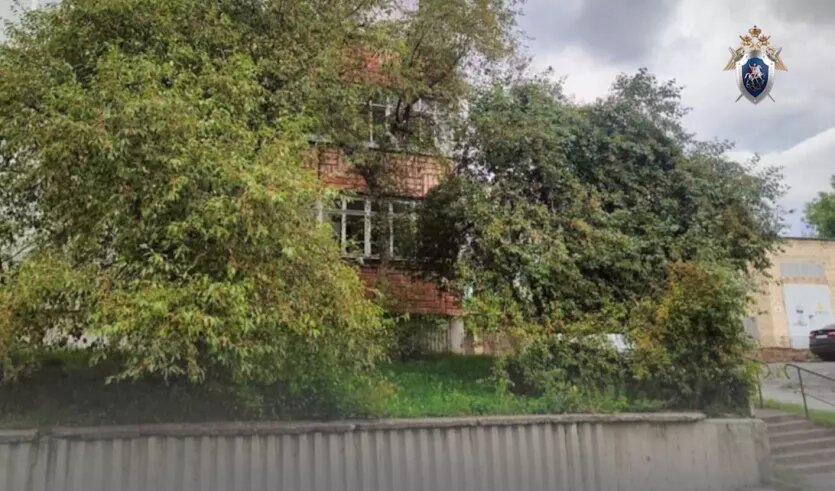 Фото: телеграм-канал Челябинский Следком