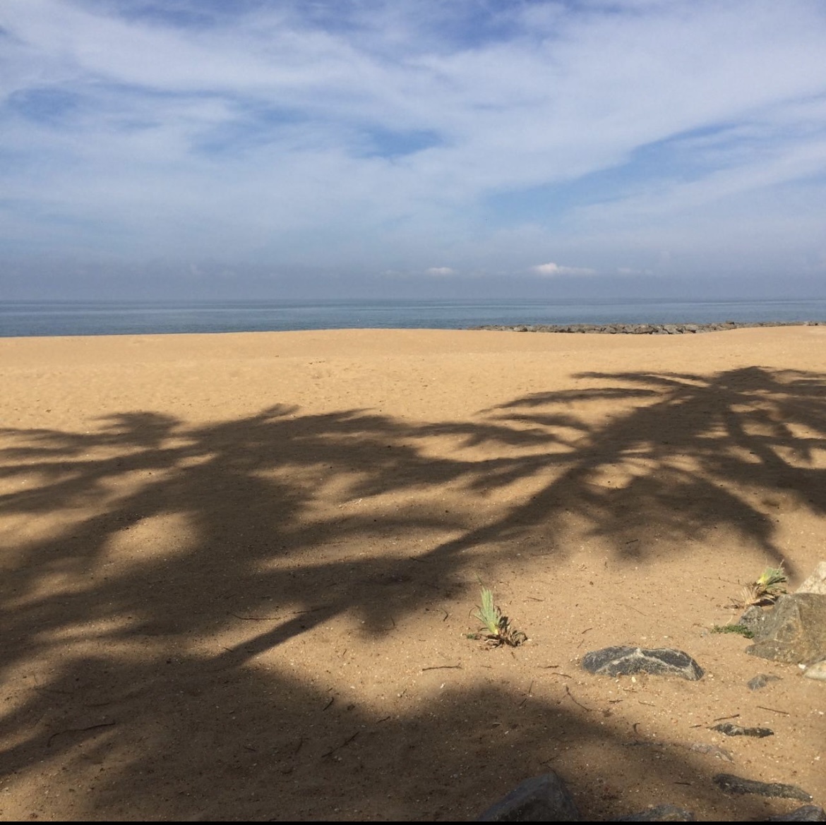 Фото из личного архива автора