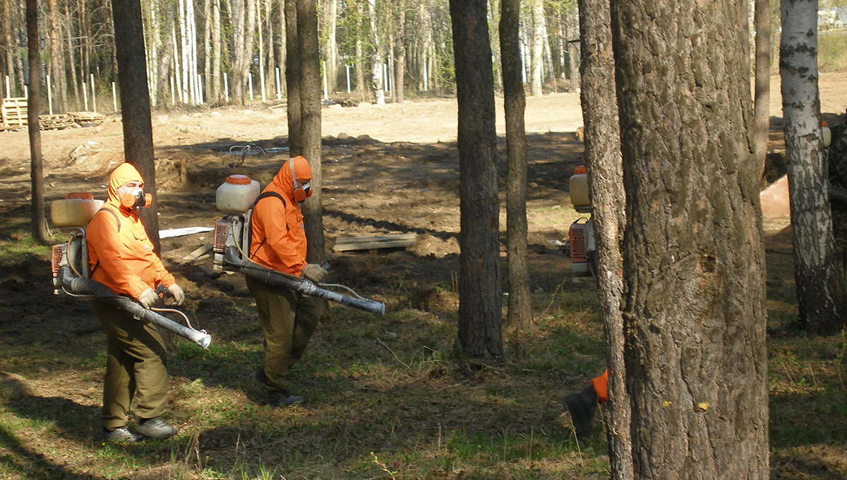    Обработка территории должна проводиться в сухую и тёплую погоду © Администрация Перми