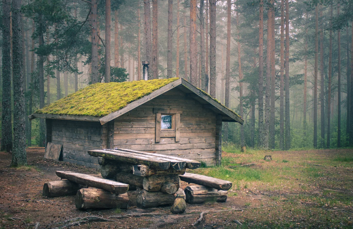 Яндекс картинки