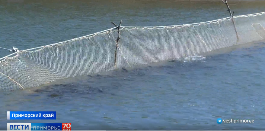    Источник фото: