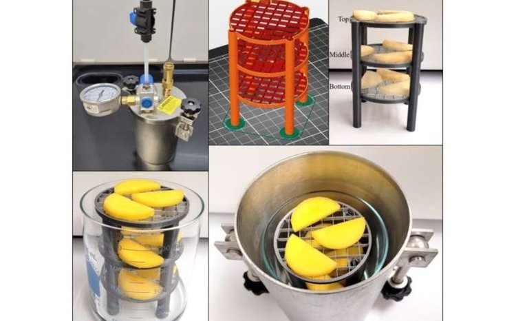    Фото: Luis Bastarrachea