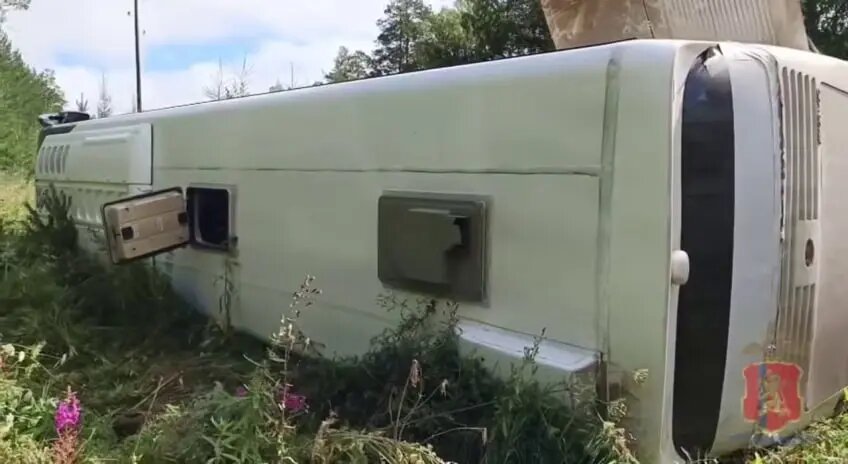    Фото: кадр видео ГУ МВД по Красноярскому краю