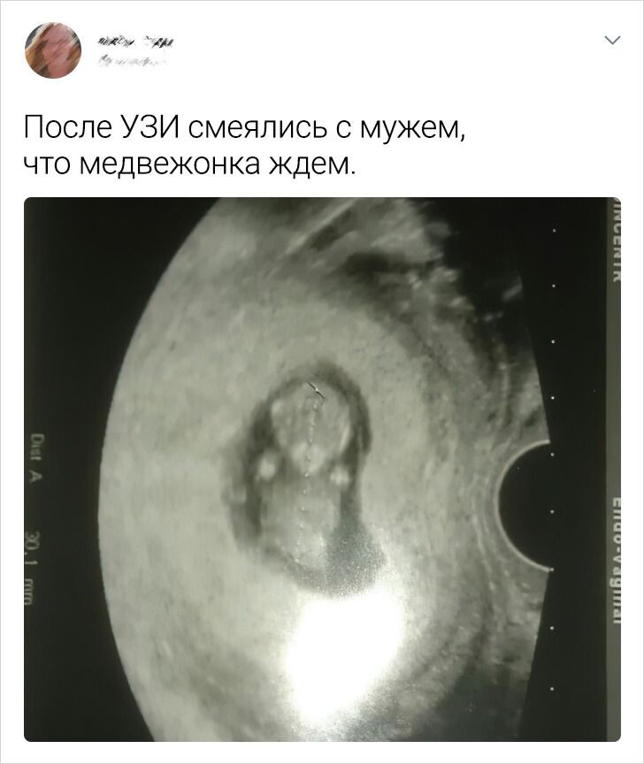 © Yulia Dmitrieva / ADME