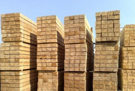    Фото: пресс-служба Россельхознадзора по Пермскому краю Екатерина Радченко