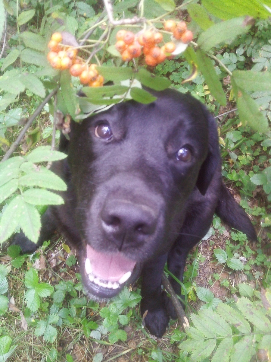 Фото автора.