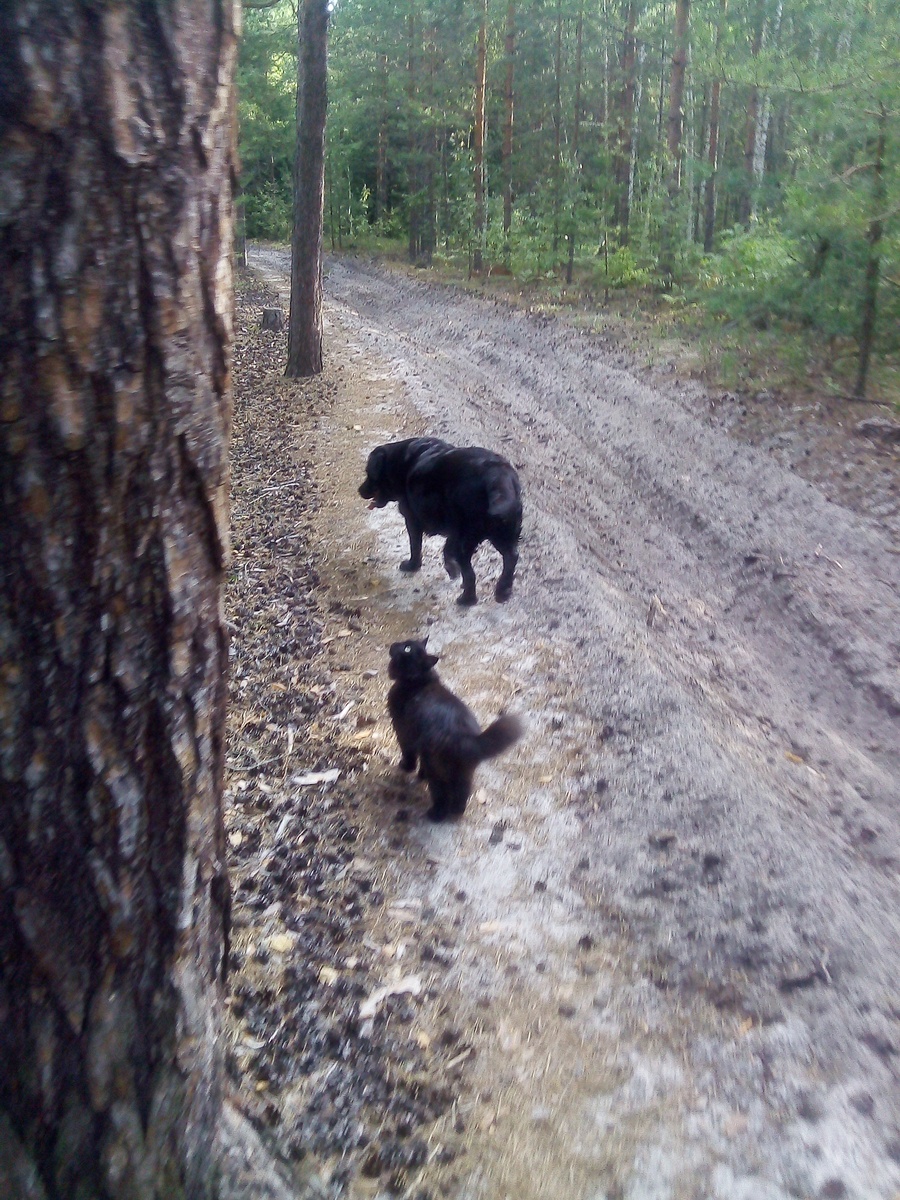 Фото автора.