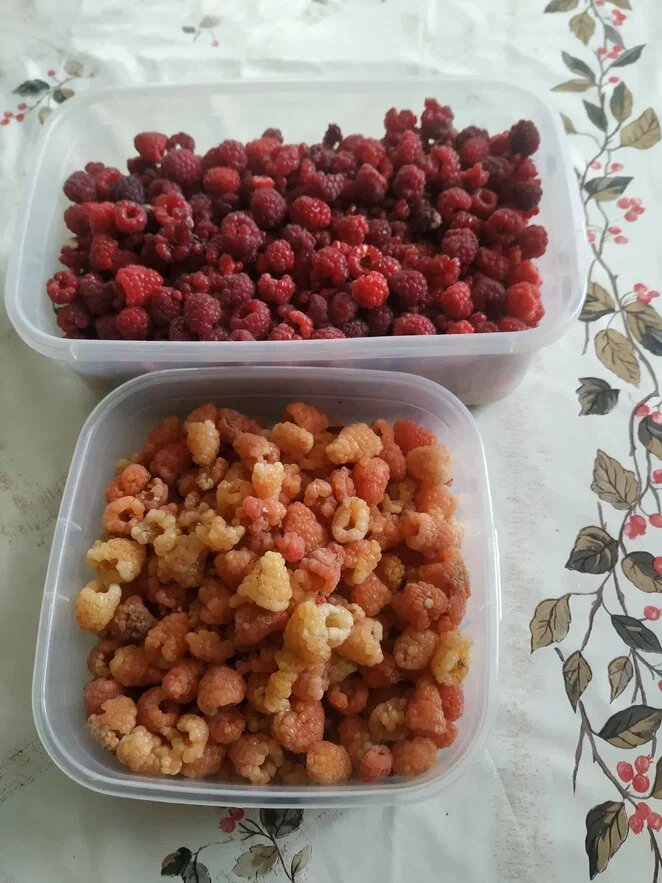 Фото Натальи Мироновой