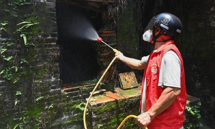    Южный Китай добился прогресса в борьбе с лихорадкой чикунгунья, но угрозы сохраняются