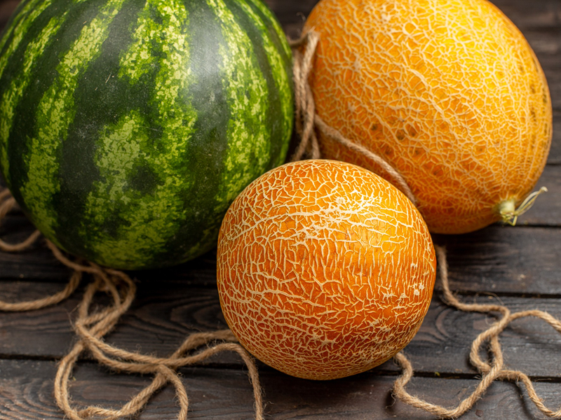 В выходные я съела столько арбуза, что мой желудок начал давить на ребра и нормально выдохнуть воздух уже не получалось. Но я ни о чем не жалею!