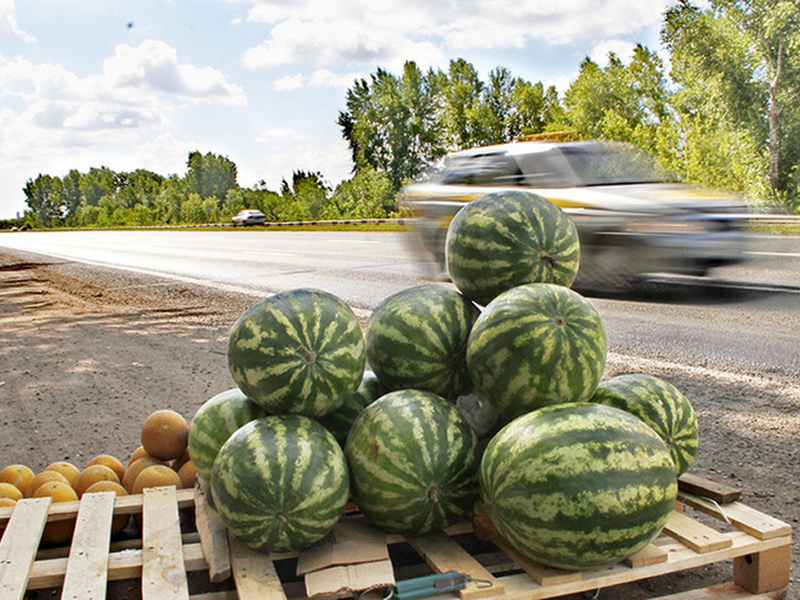 Источник фото: http://theworldnews.net/