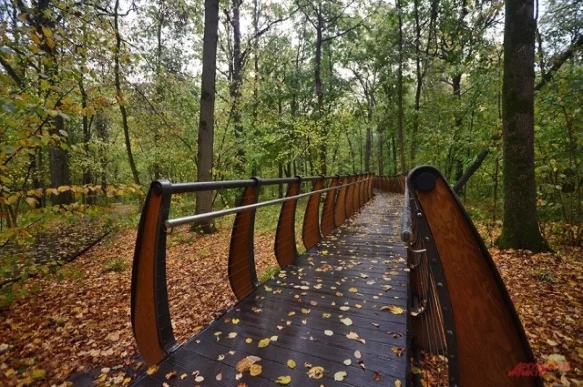    В Тазовском благоустраивают живописную экотропу