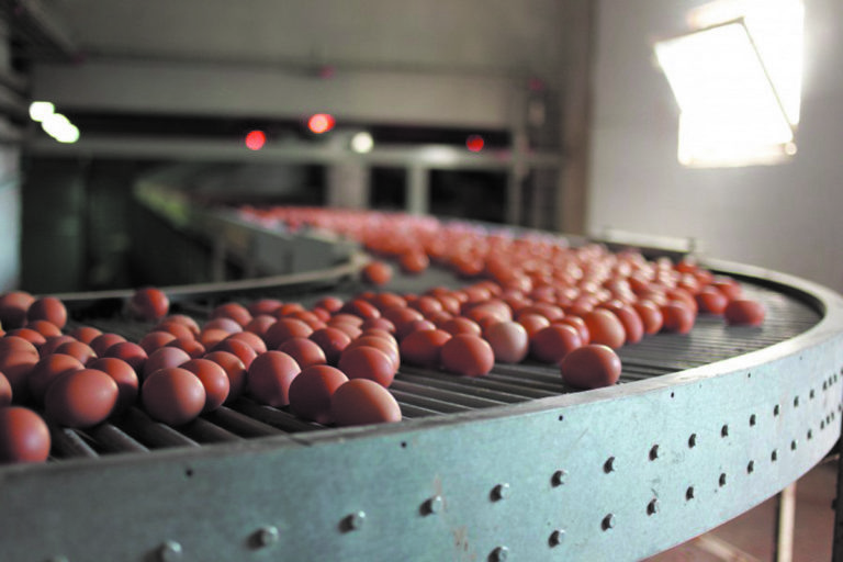    Фото: pixabay Илья Федоров