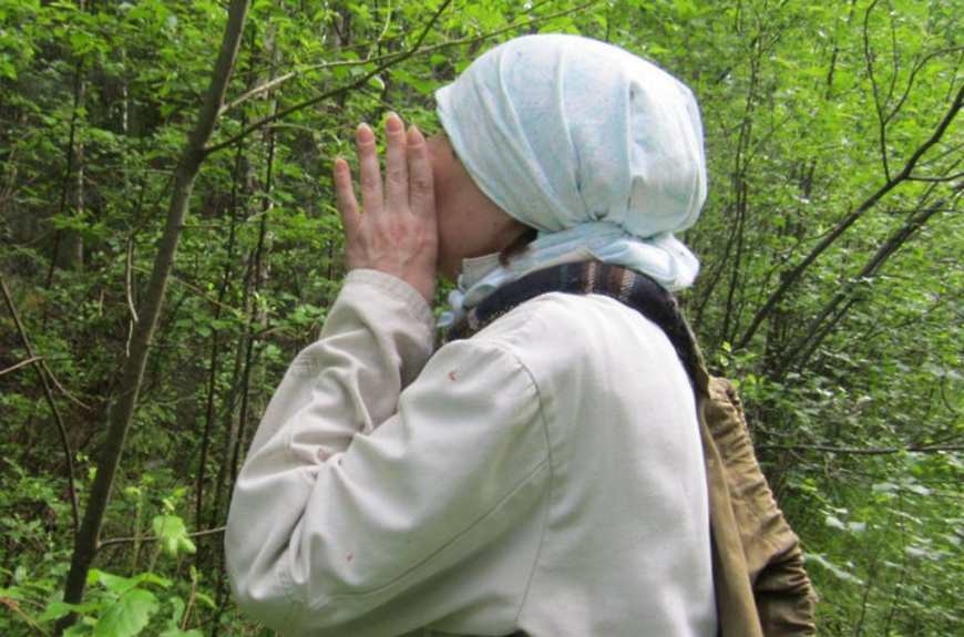 Фото из интернета. Заблудилась.