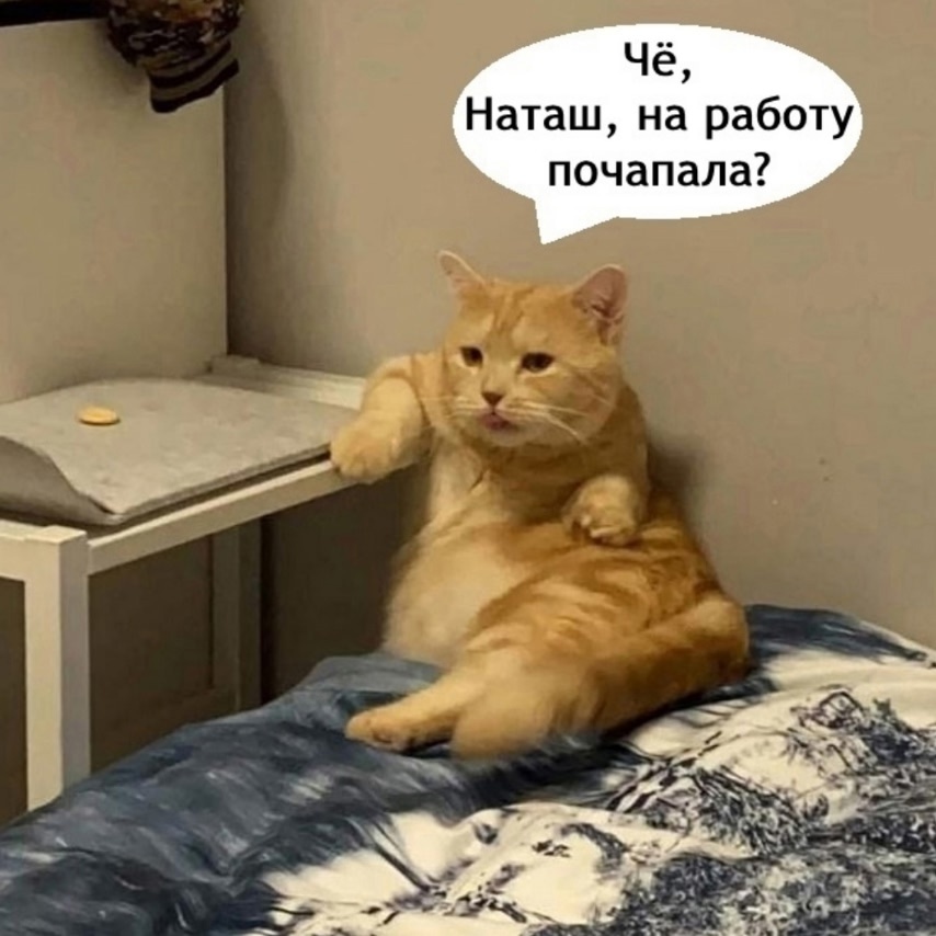 Жизненная жизнь. Картинки взяла тут https://vk.com/im/convo/340234?entrypoint=list_all&z=photo-227158115_457242328%2Falbum-227158115_00