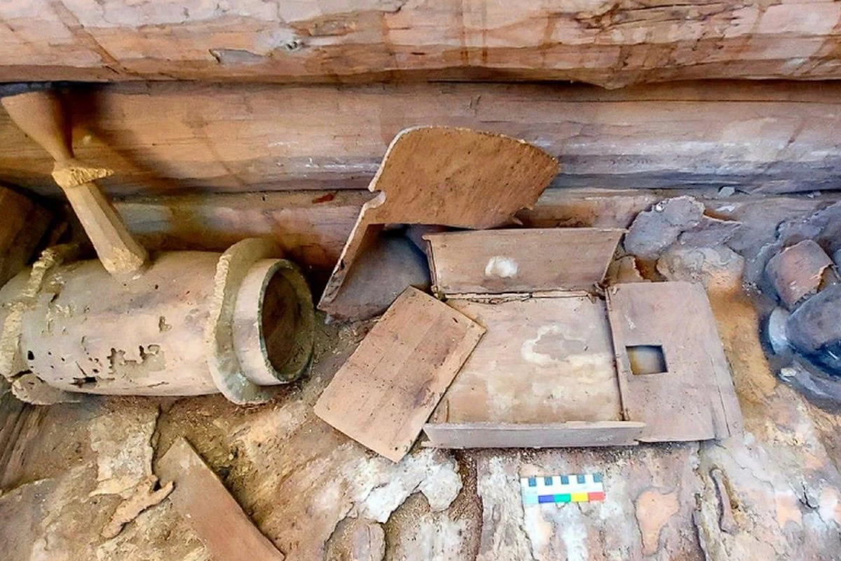 Фото: Владимир Немых / наука.рф