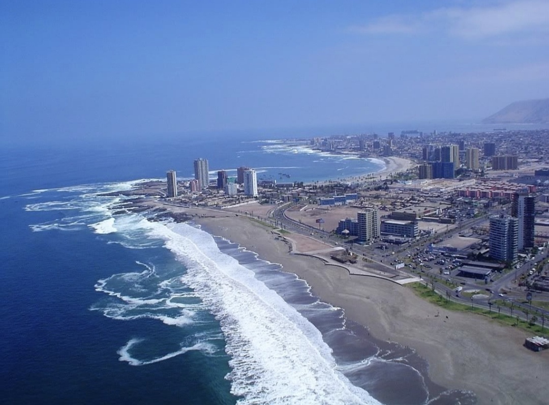 Из свободного источника Яндекс картинки