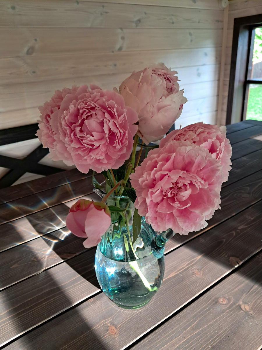 Сара Бернар