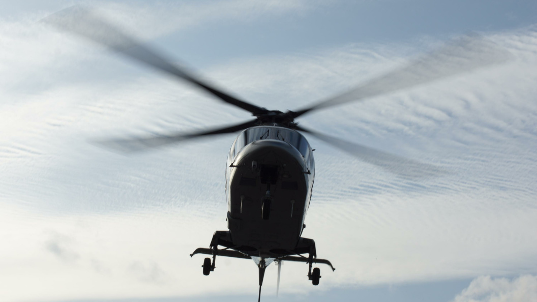    Фото: Olga Sokolova/Globallookpress