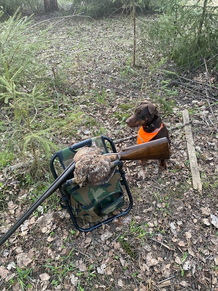 Автор фото Александр Грибов, участник группы в ВК.