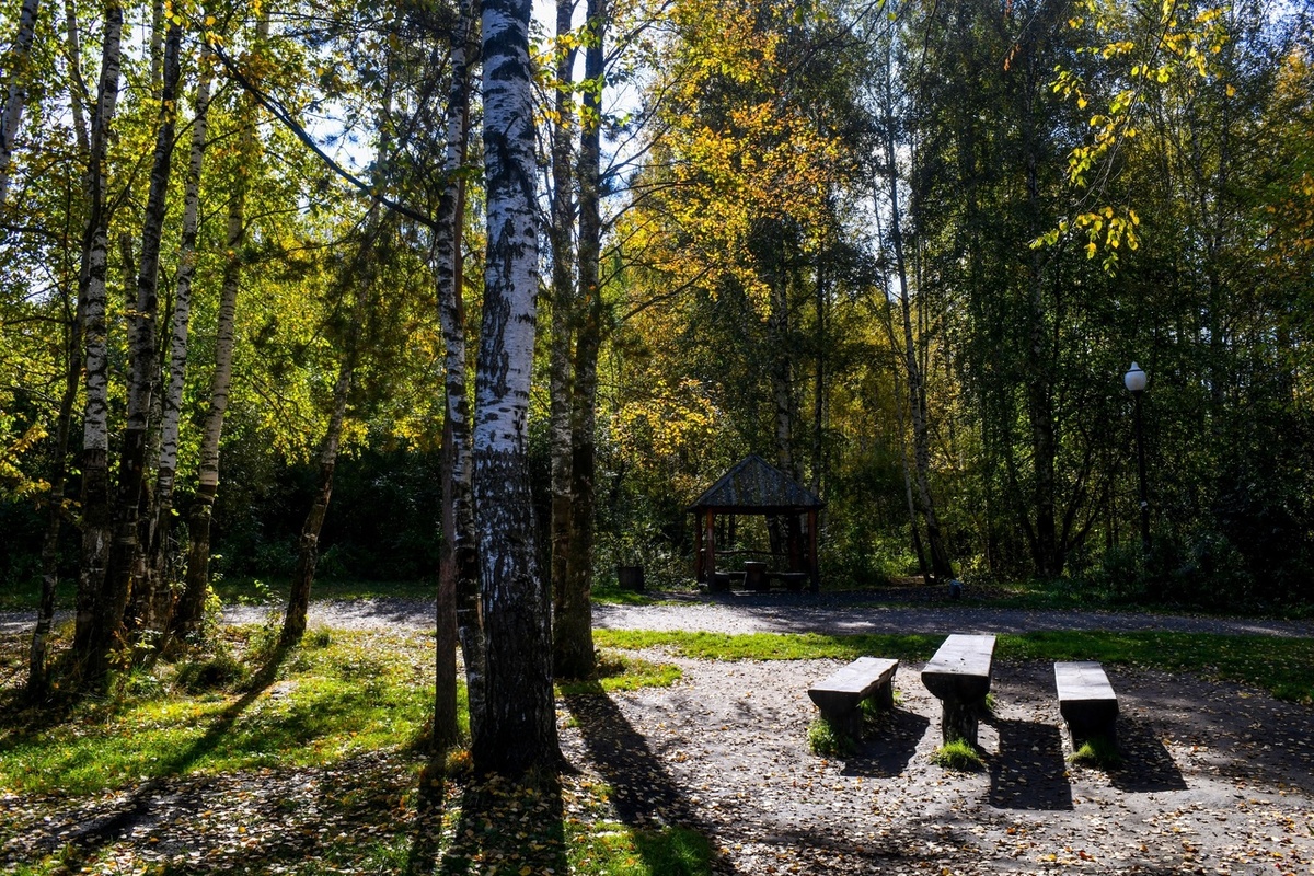    © Администрация Перми