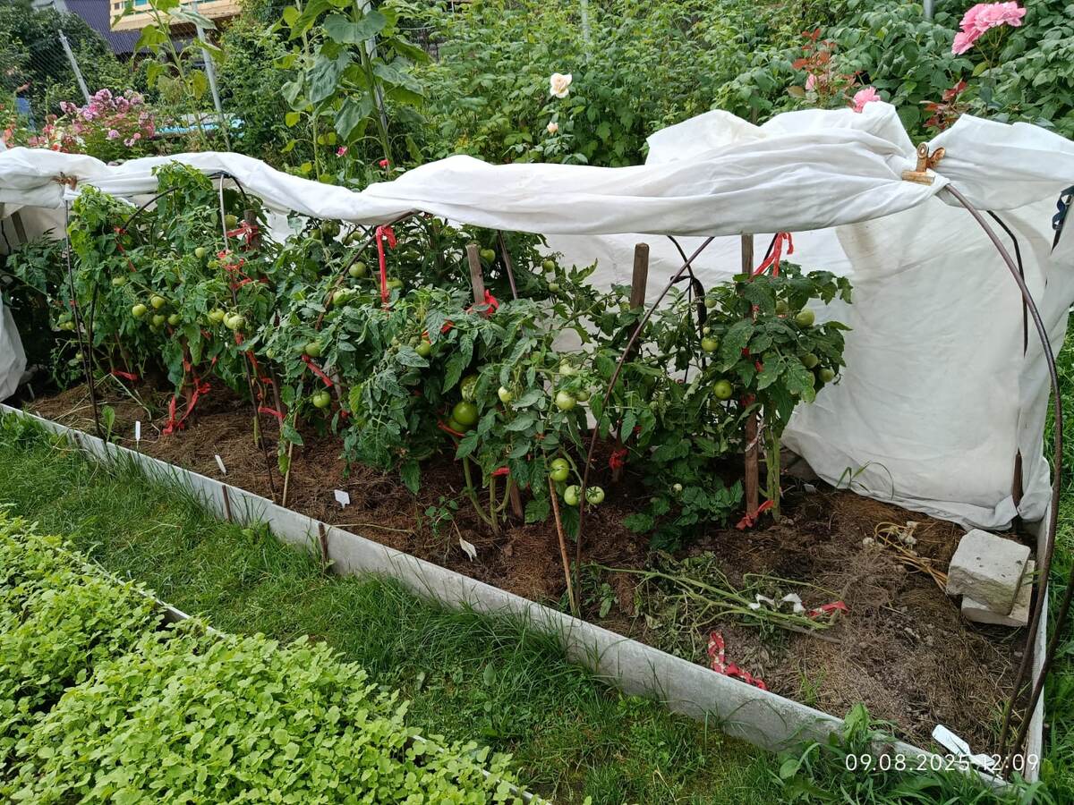 какие-то магазинные