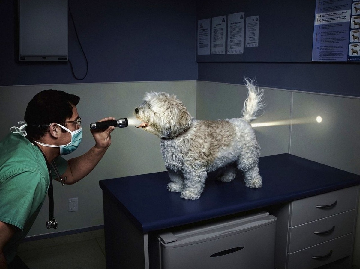 i.pinimg.com/originals