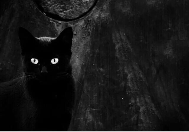 Фото из интернета