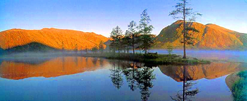 Фото из интернета.